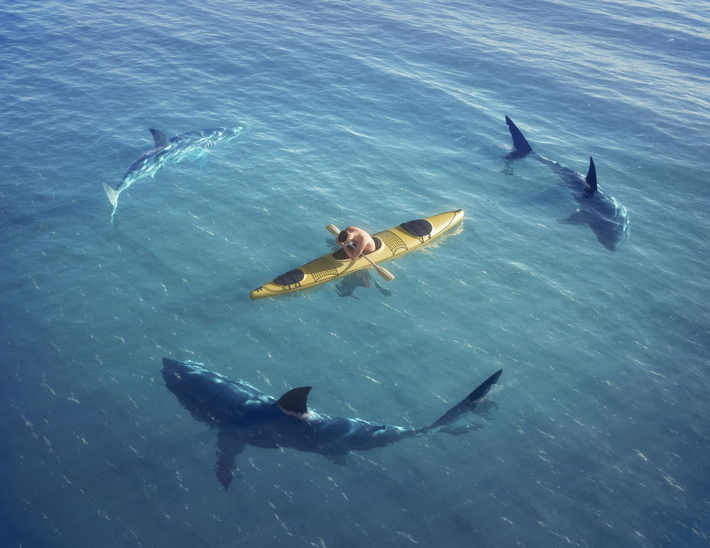 Sharks circling a man in a kayak