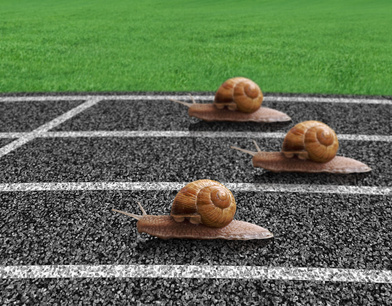 three snails on a racetrack