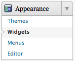 wordpress widgetized sidebar